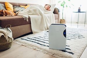 What Size Dehumidifier Do I Need?